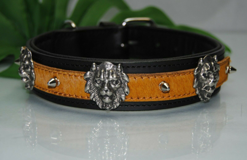 Lederhalsband Löwe mit Kuhfell 60cm x 4cm